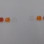 SP-4 Taillight Lens Kit